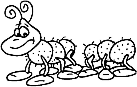 Centipede  Coloring Page